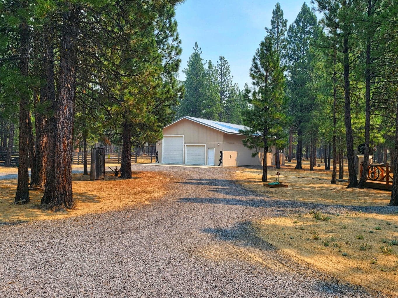 Photo of 51998 Noble Fir 3 of 41