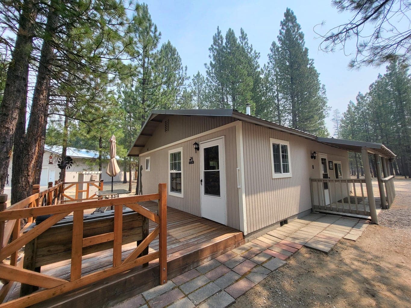 Photo of 51998 Noble Fir 6 of 41