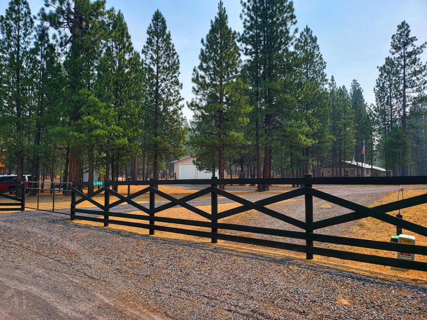 Photo of 51998 Noble Fir 24 of 41