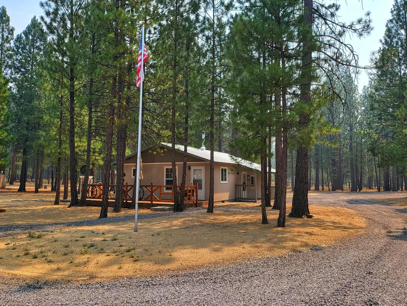 Photo of 51998 Noble Fir 25 of 41