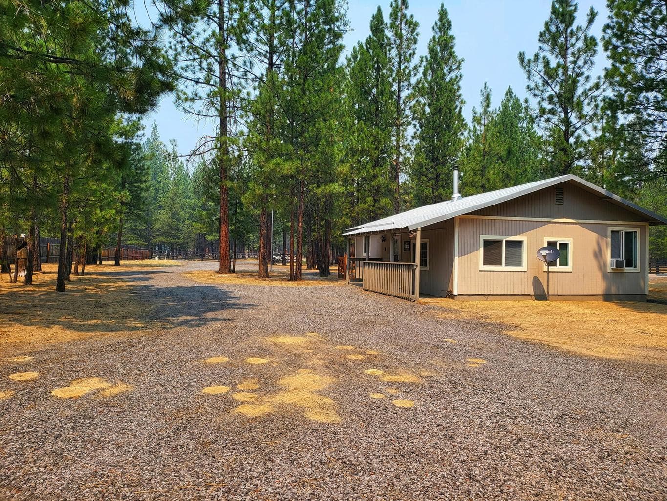 Photo of 51998 Noble Fir 26 of 41