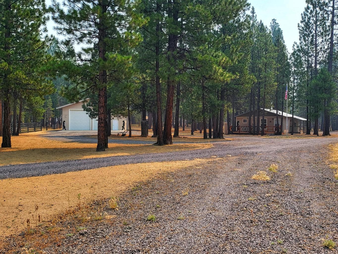 Photo of 51998 Noble Fir 27 of 41