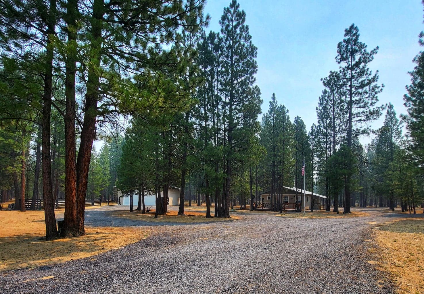 Photo of 51998 Noble Fir 28 of 41