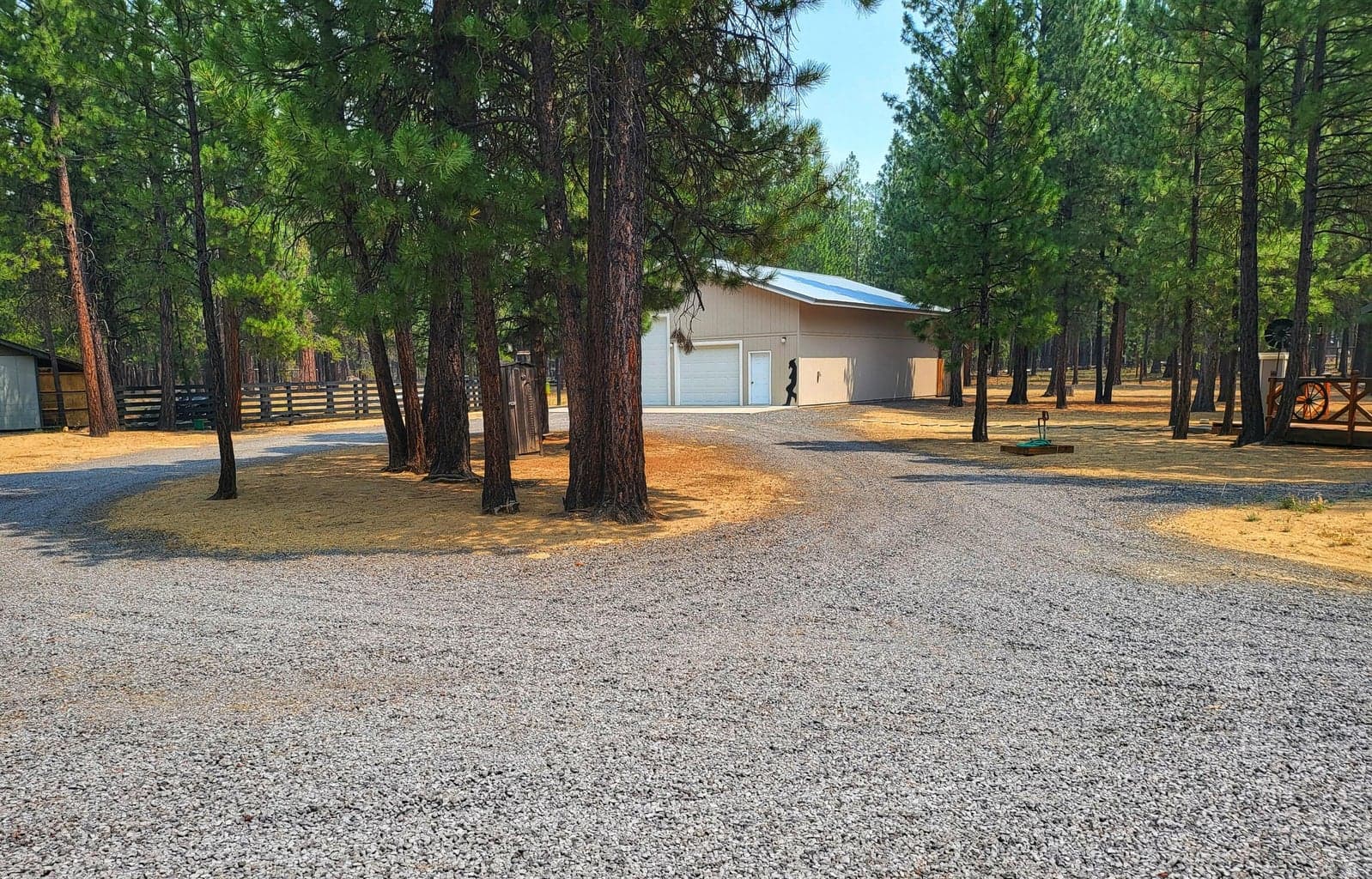 Photo of 51998 Noble Fir 31 of 41