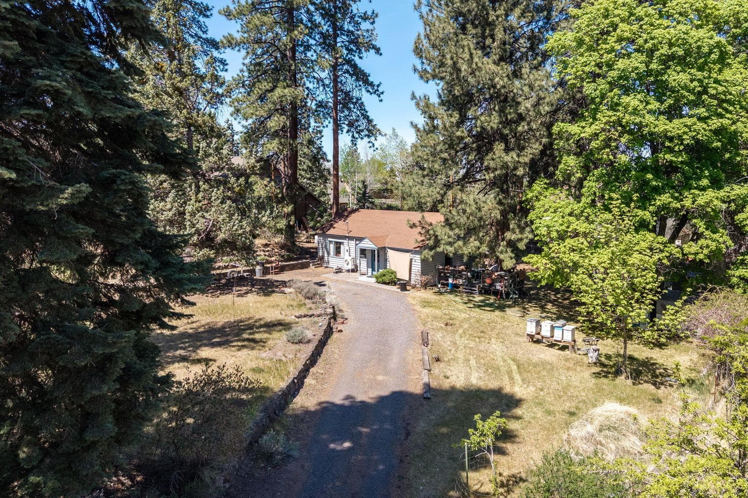 Coming up the driveway