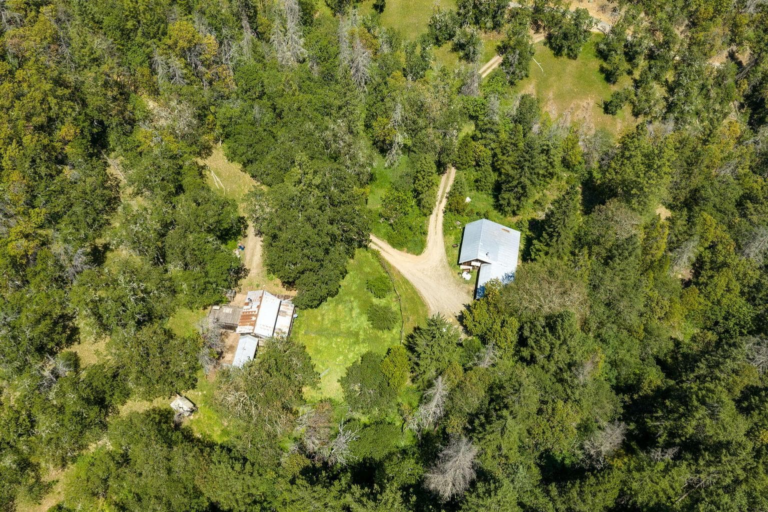 A lovely meadowed oasis surrounded by trees and a nearby creek