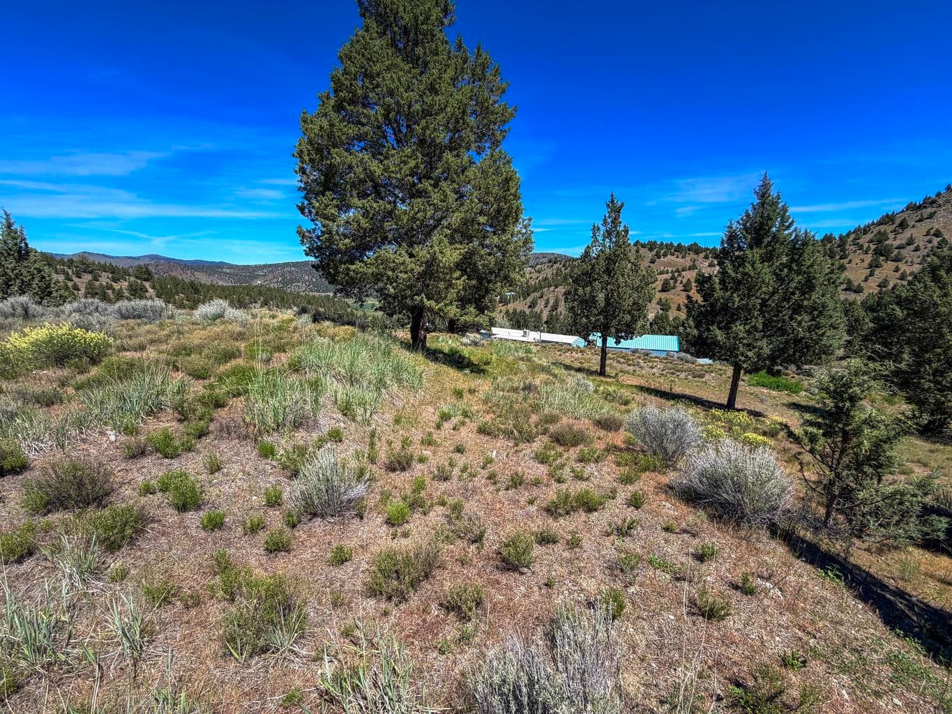 Photo of Luce Creek 4 of 19