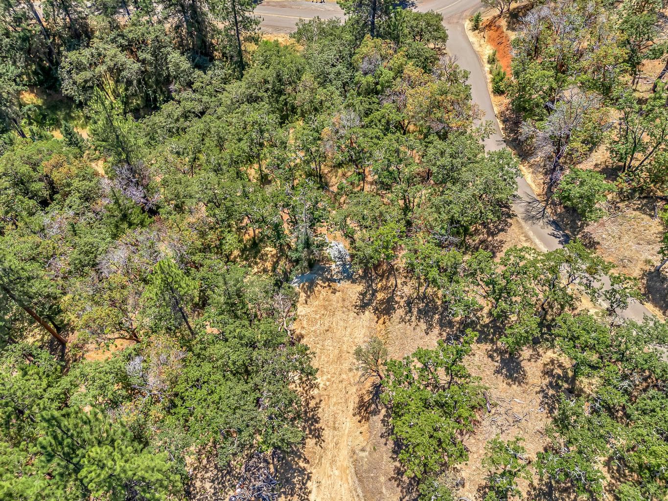 Photo of 254 Juanita 3 of 22