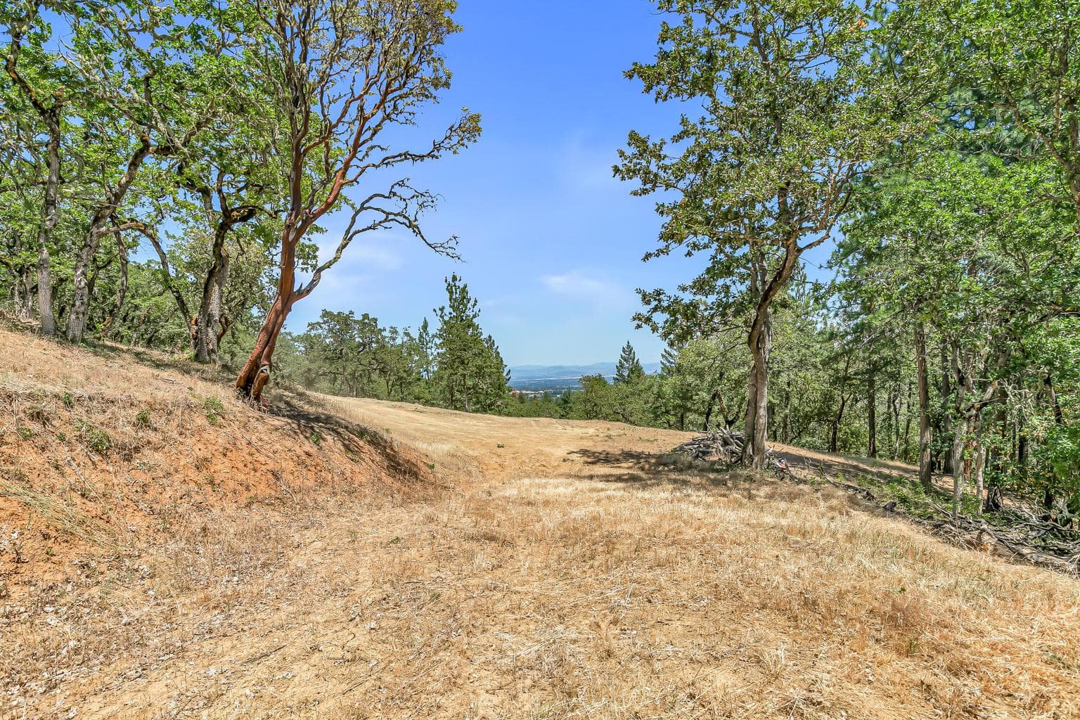 Photo of 254 Juanita 4 of 22