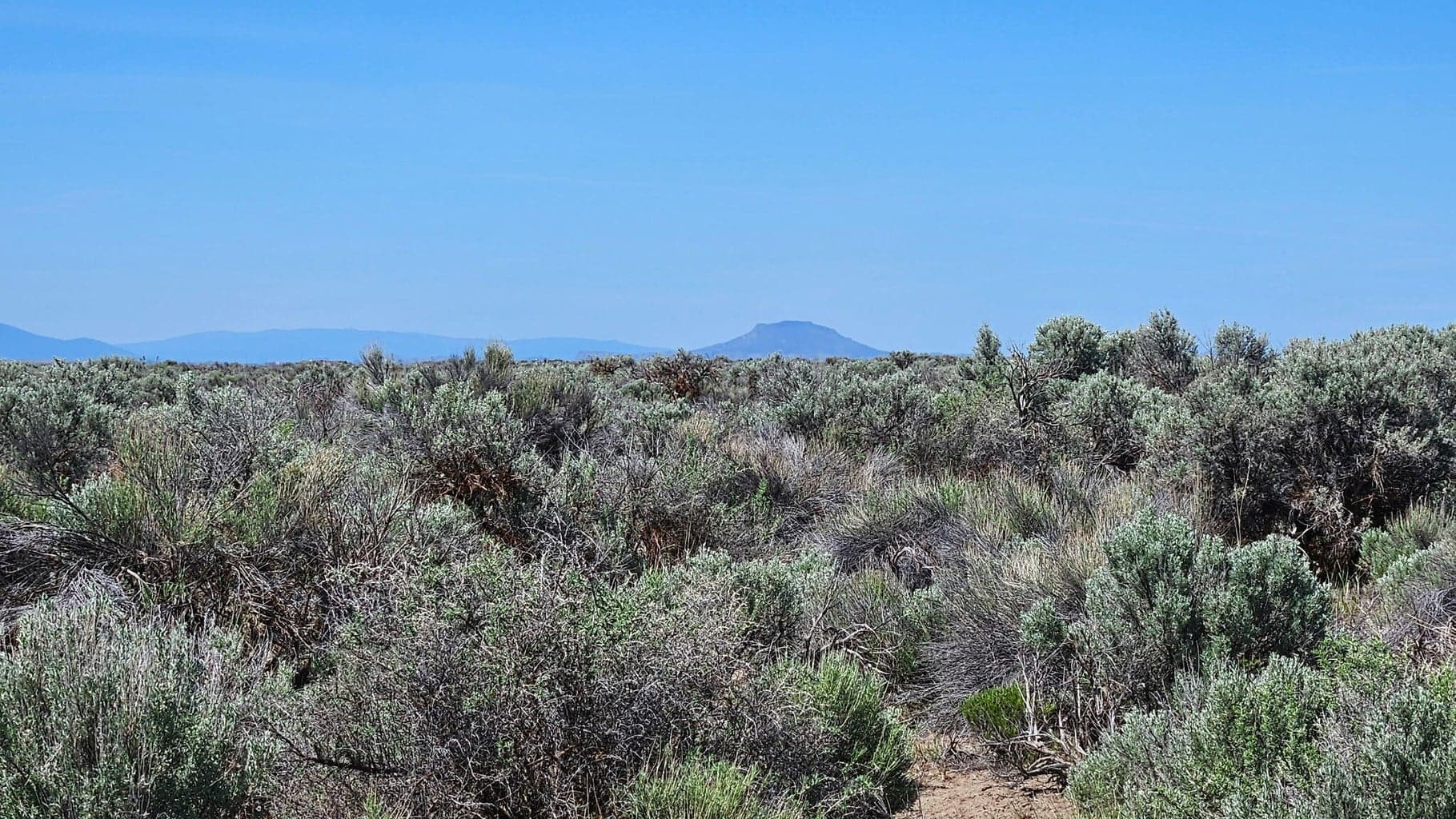 Photo of Christmas Valley 3 of 7