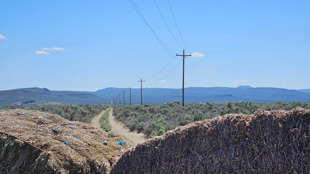 Photo of Christmas Valley 4 of 7