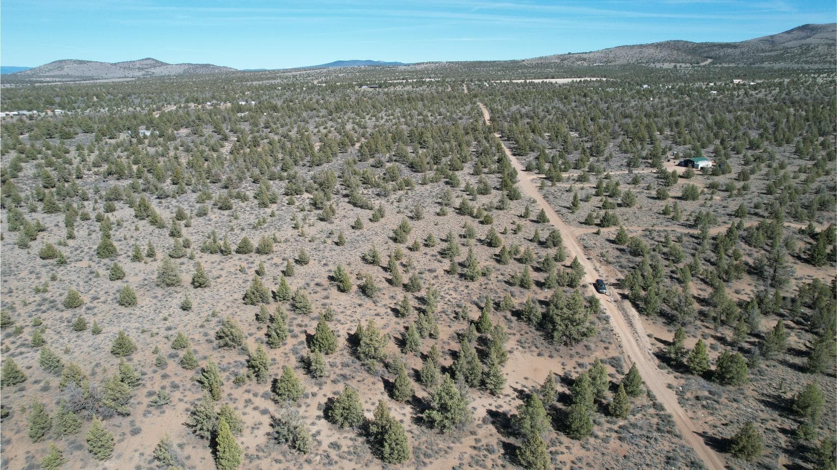 Photo of 2099 Redwood 3 of 24