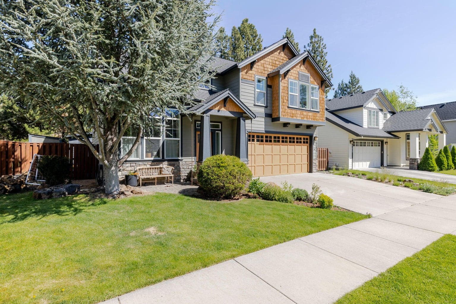 Photo of 61059 Snowberry 3 of 60