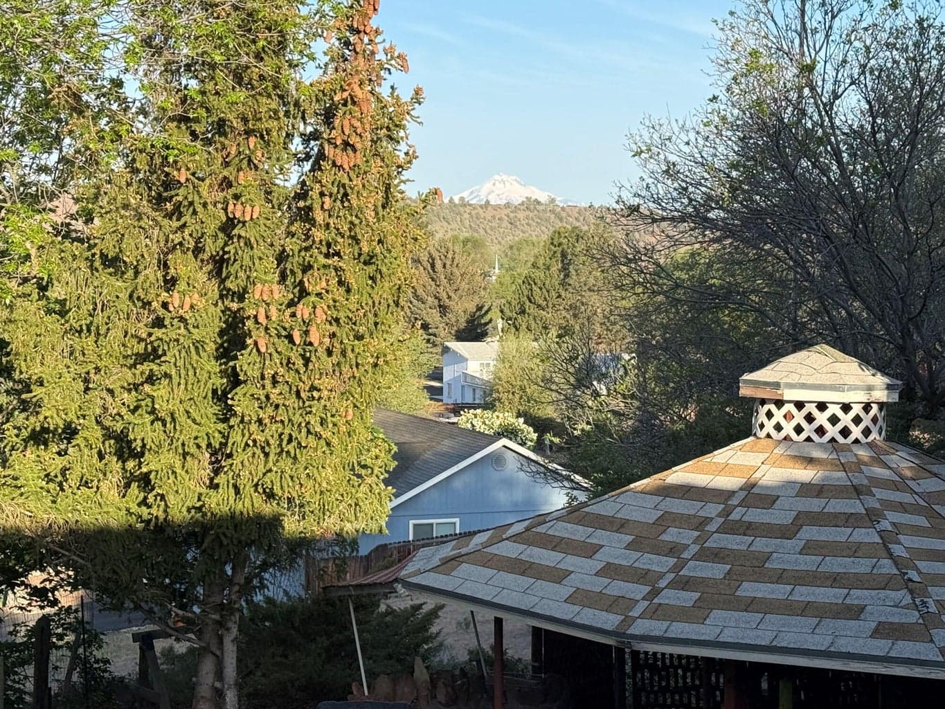 Photo of 176 SE Hillcrest Street 48 of 65