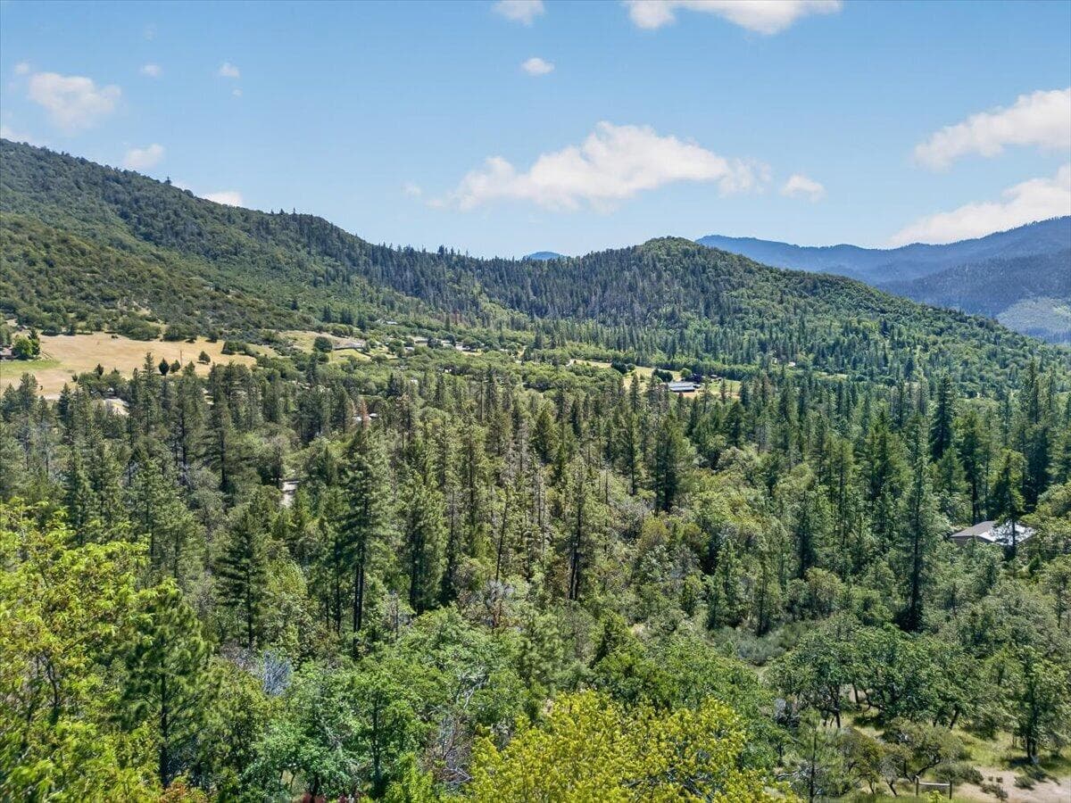 Photo of 1133 Humbug Creek 3 of 47