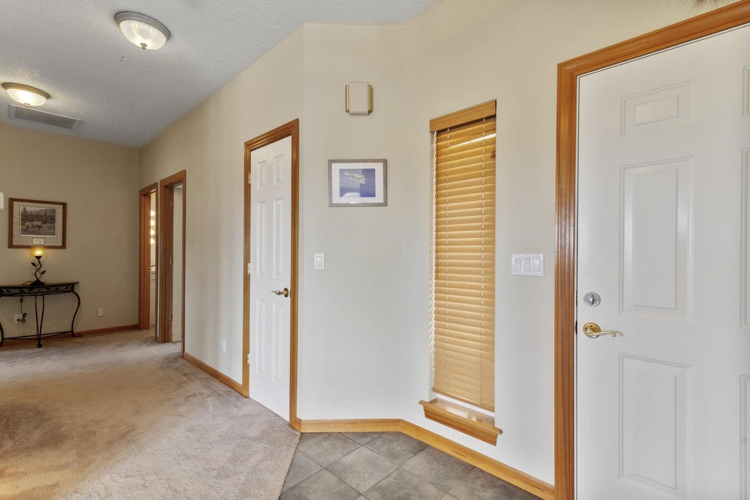 Photo of 77552 Mahogany 5 of 68