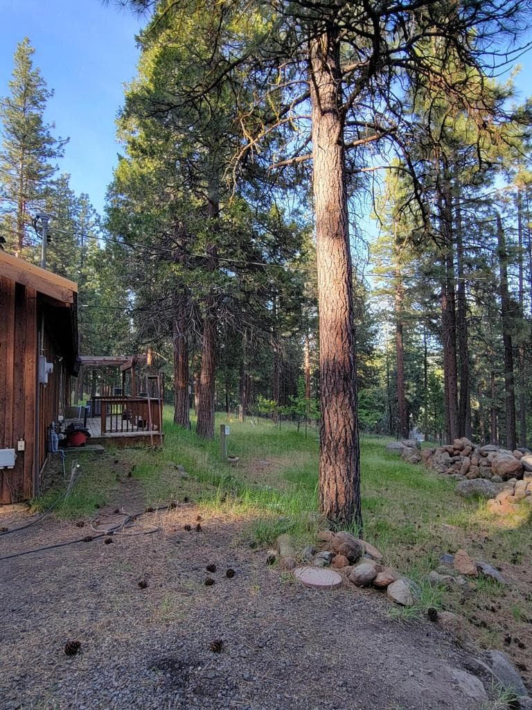 Photo of 17411 Freight Road 4 of 19