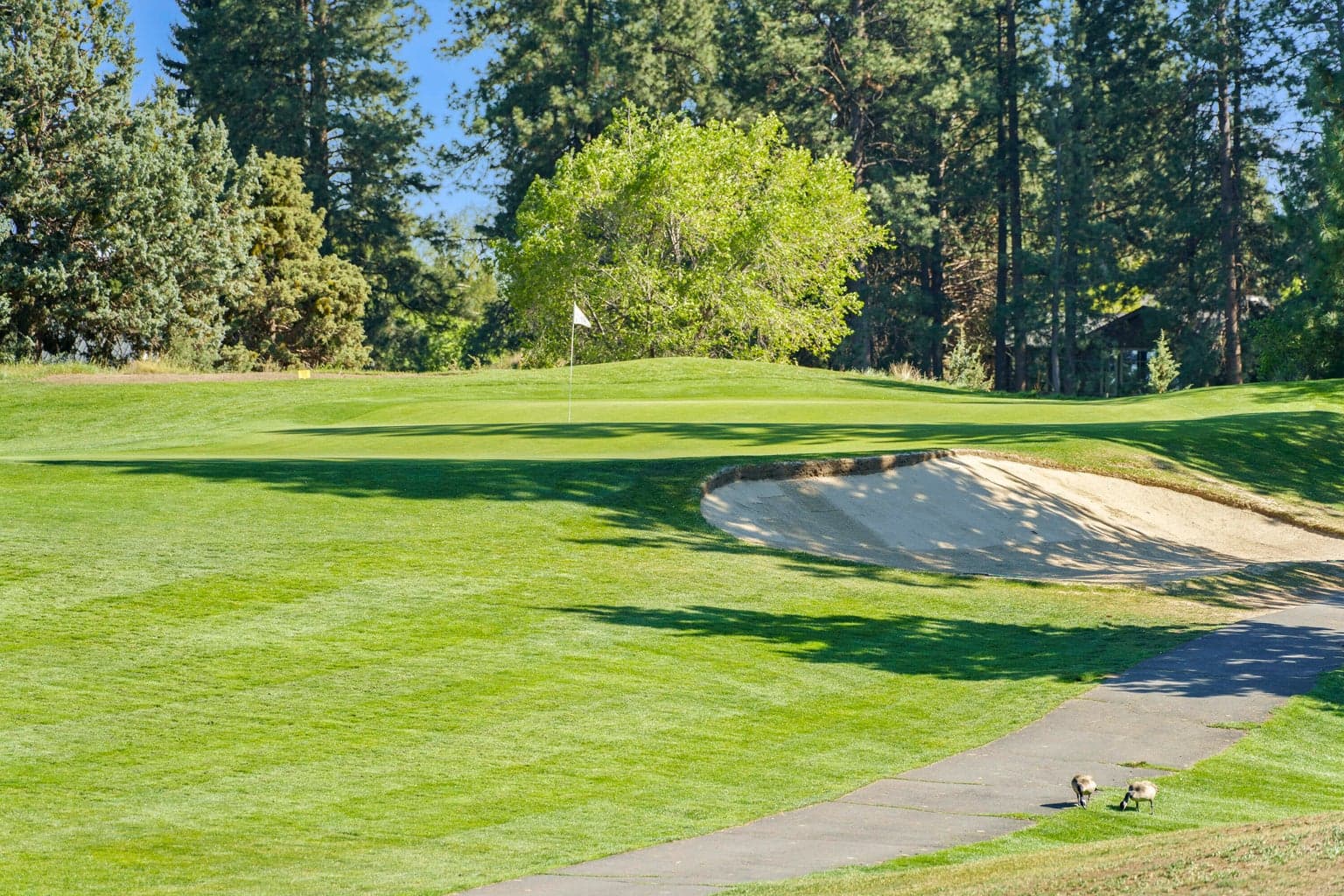 Photo of 2620 NW Golf Course Drive S 50 of 50