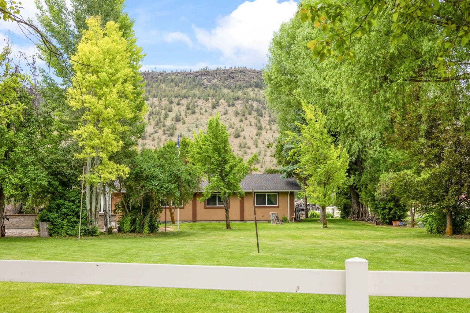 Photo of 389 Orchard Lane 3 of 65