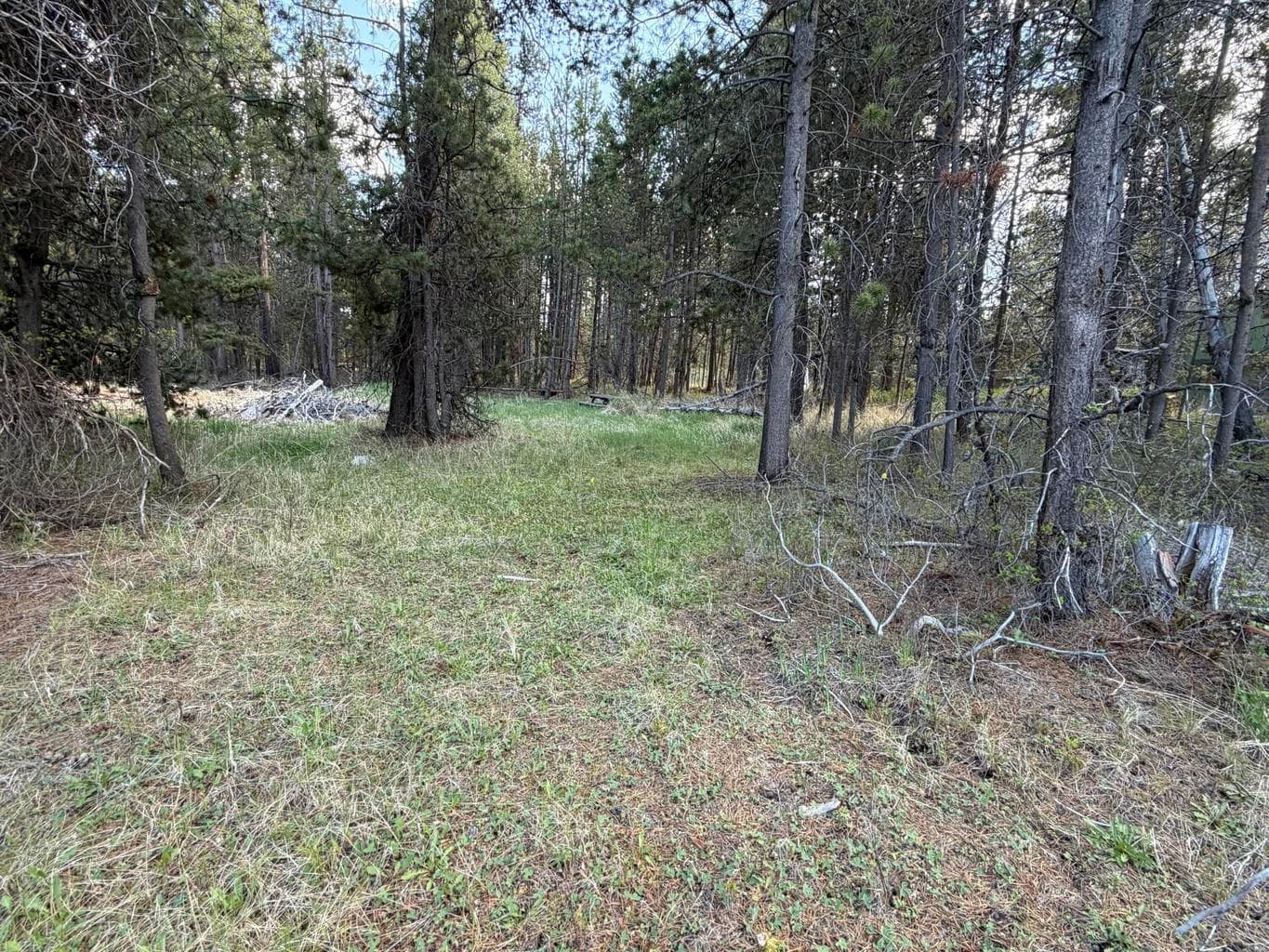 Photo of 16783 Century 4 of 9