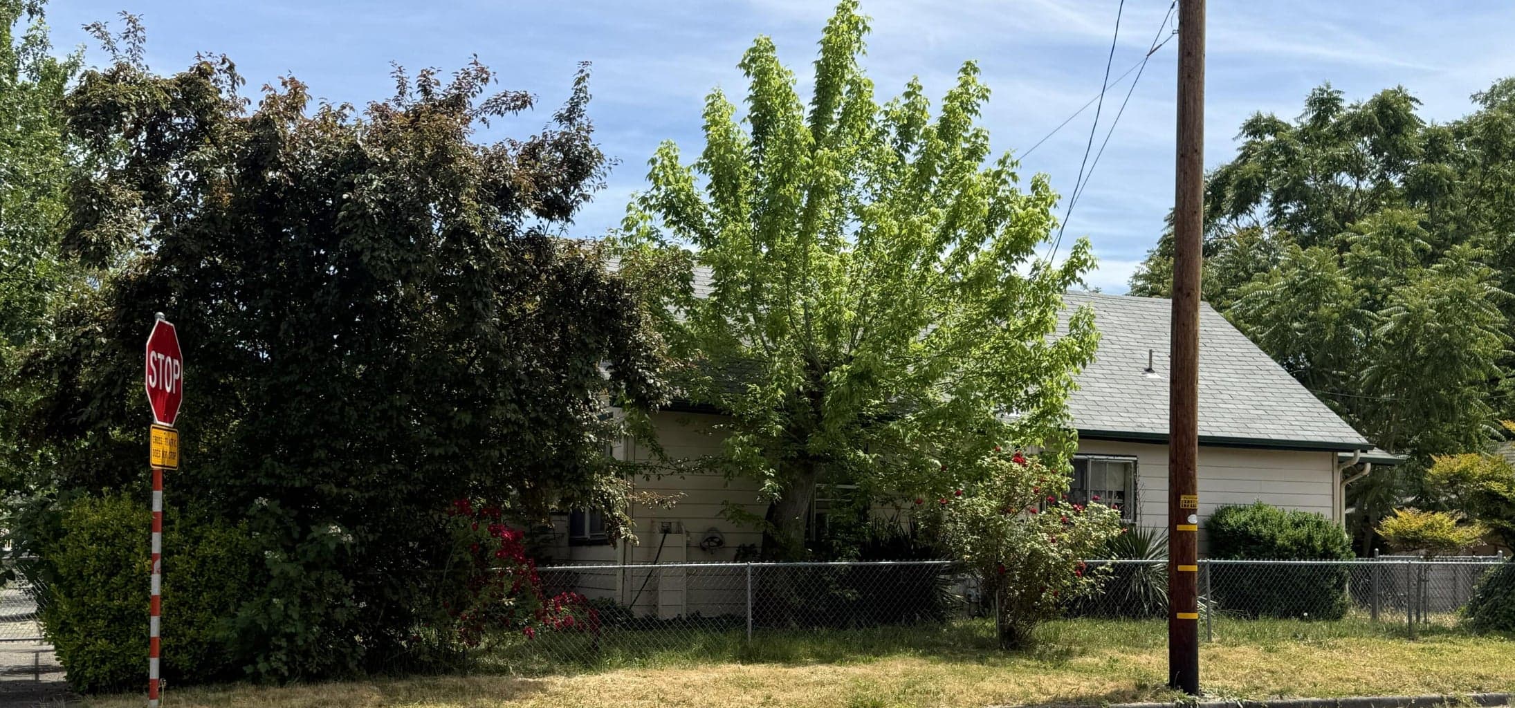 Photo of 501 J 5 of 15