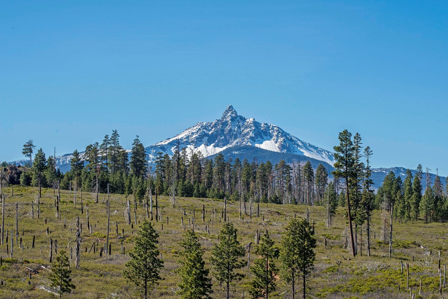 View from the Homesite!