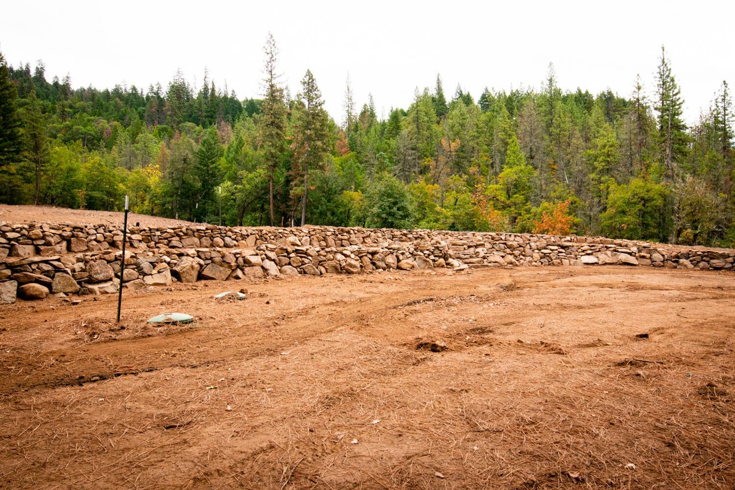Septic and Leach field are in.