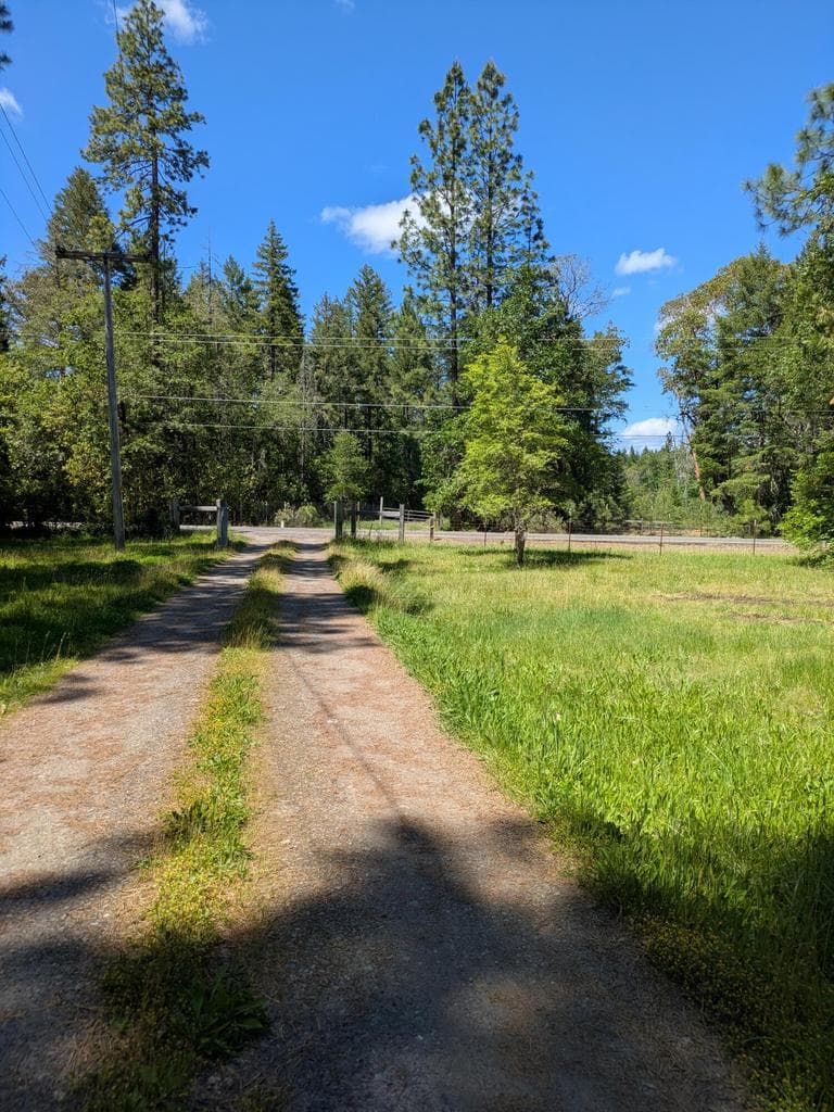 Driveway