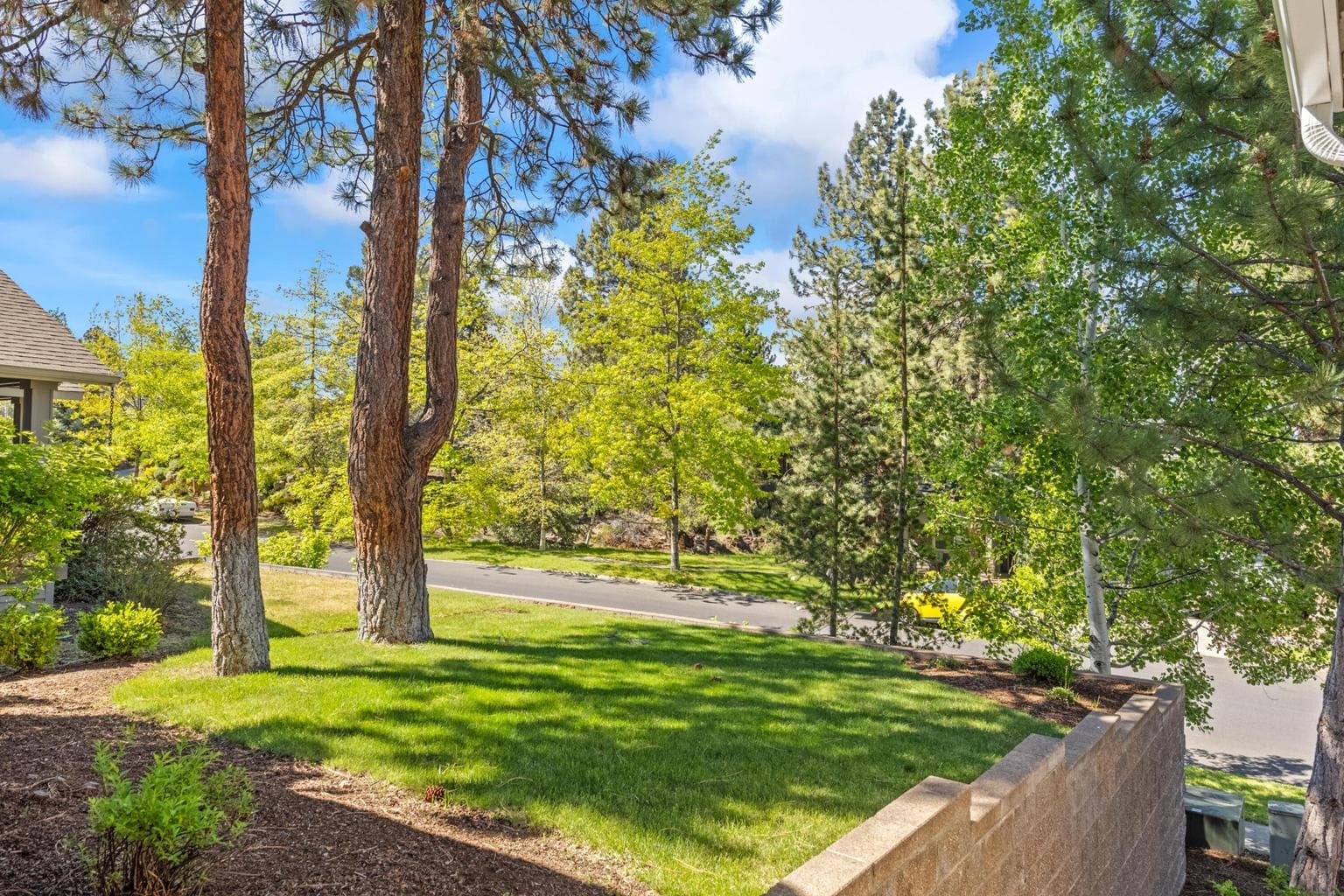 Front Yard
