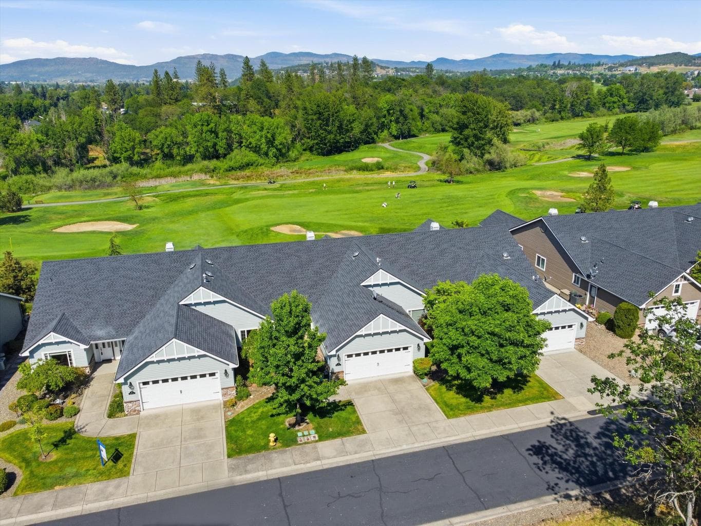 91 Morning Dove