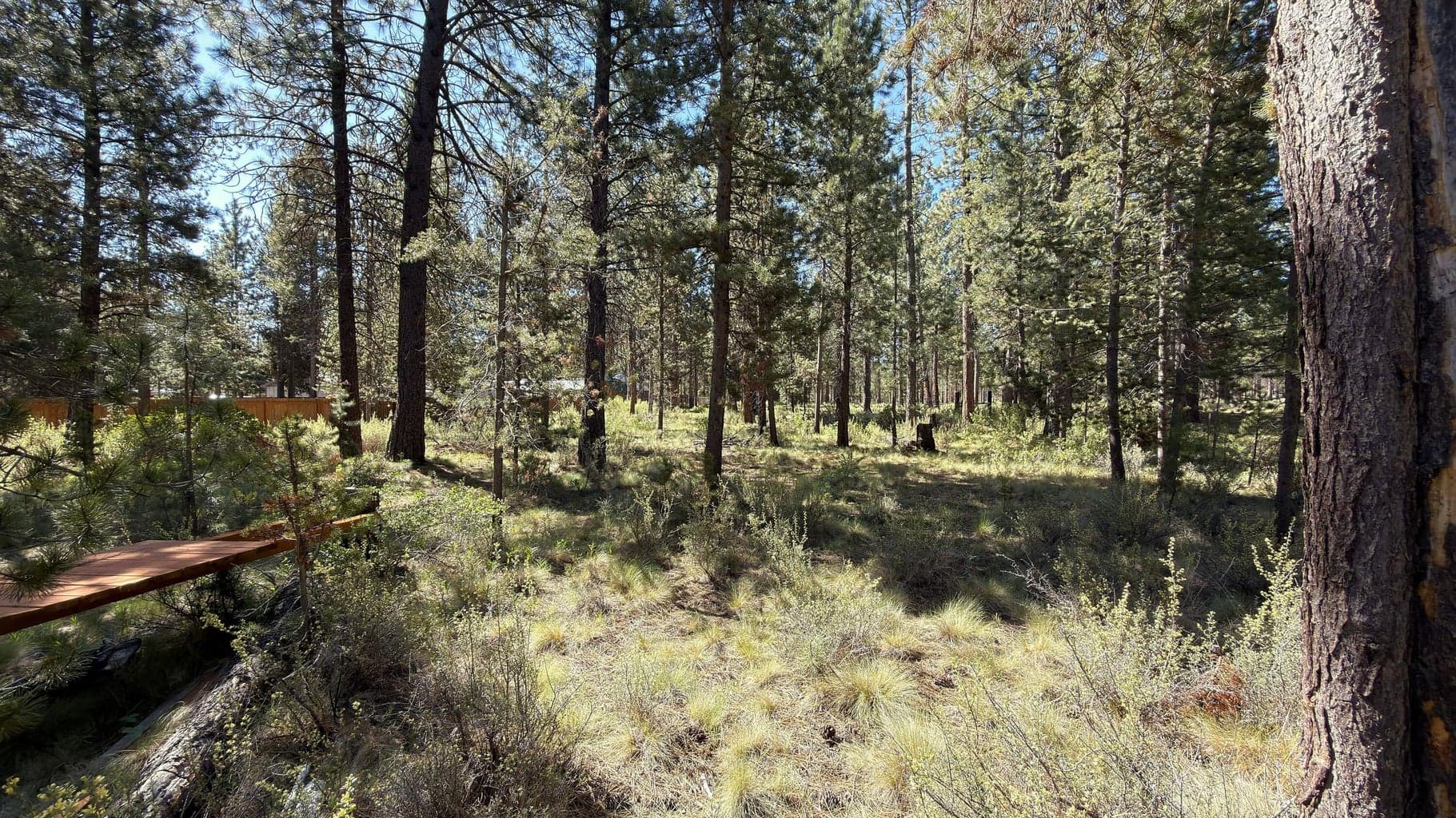Photo of 16999 Jacinto Road 21 of 47