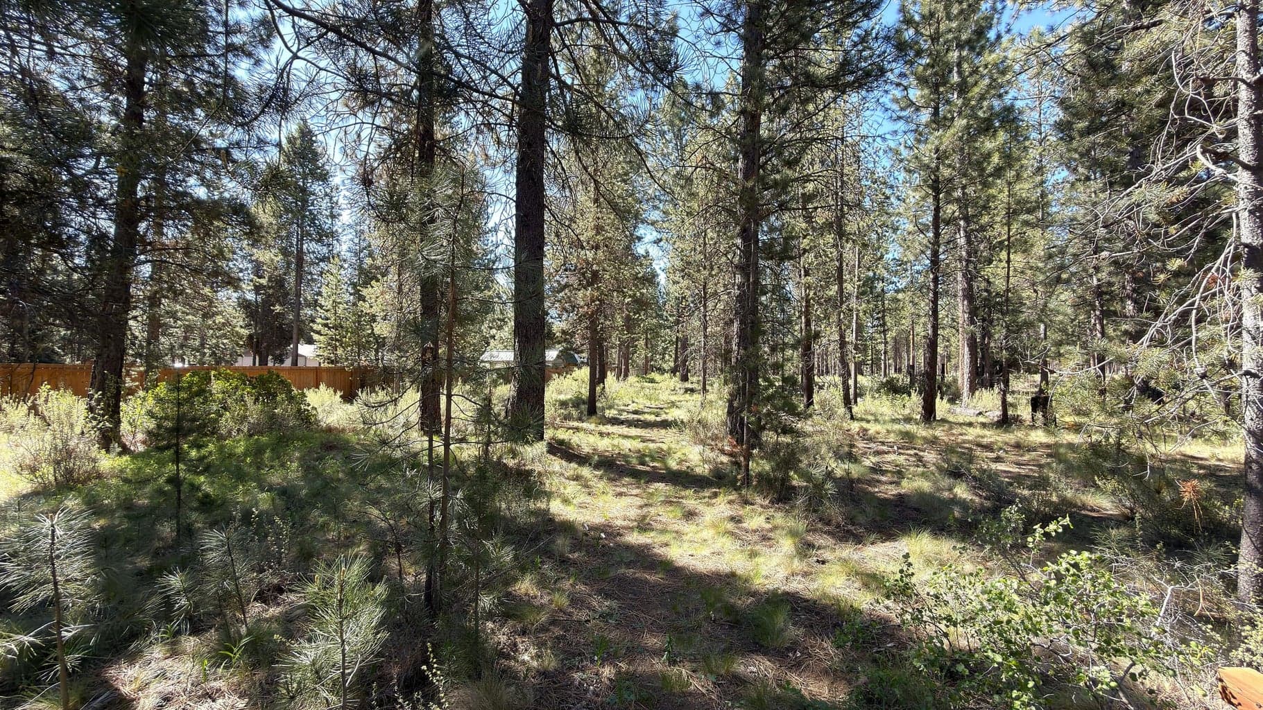 Photo of 16999 Jacinto Road 22 of 47
