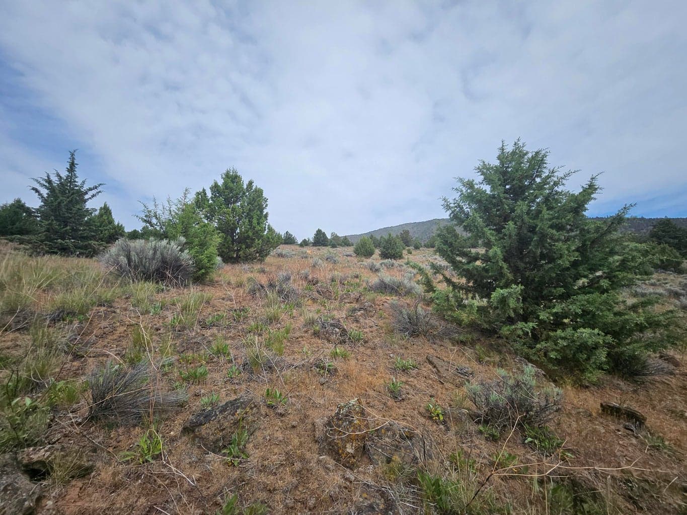 lower part at the road looking up