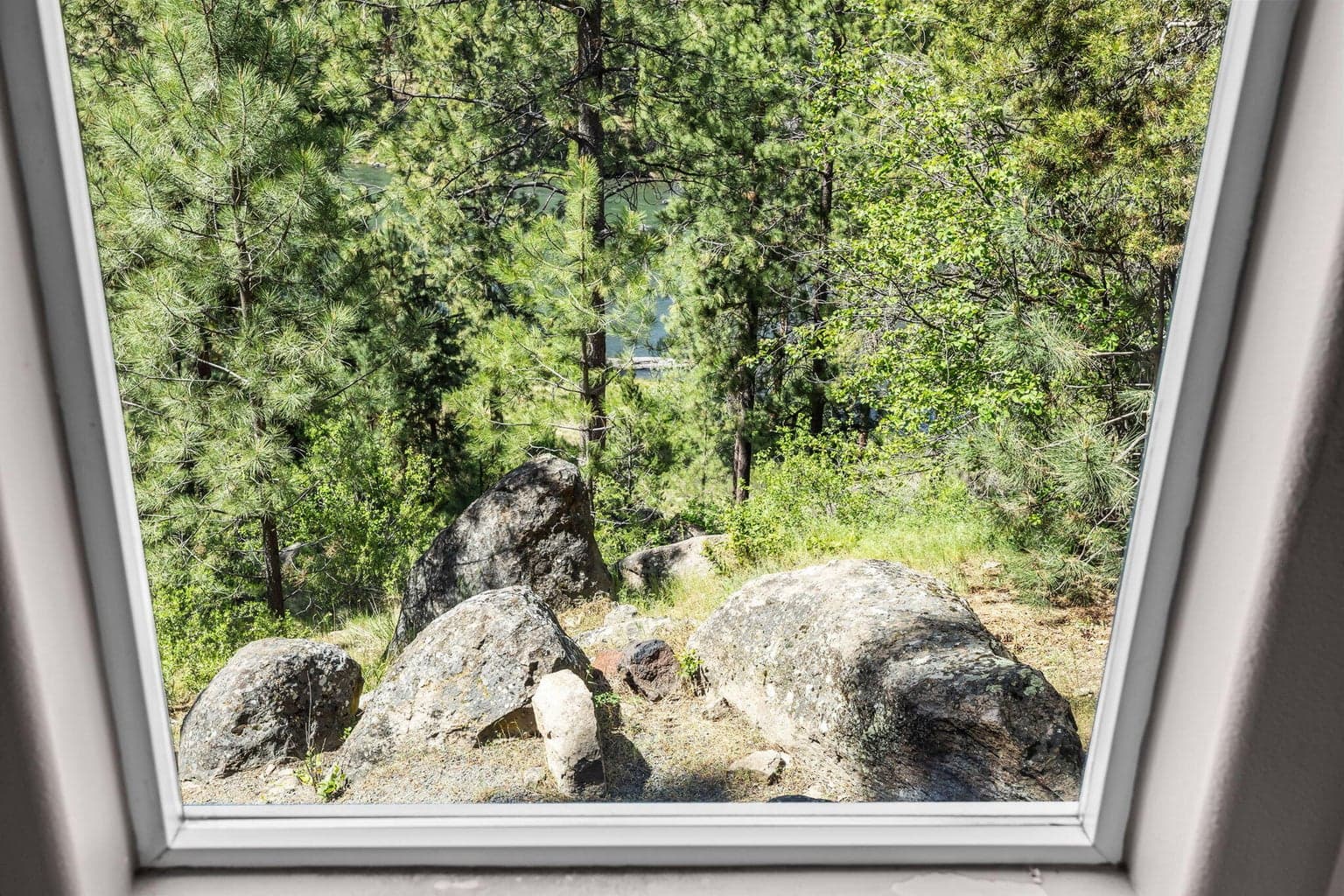 Main Window