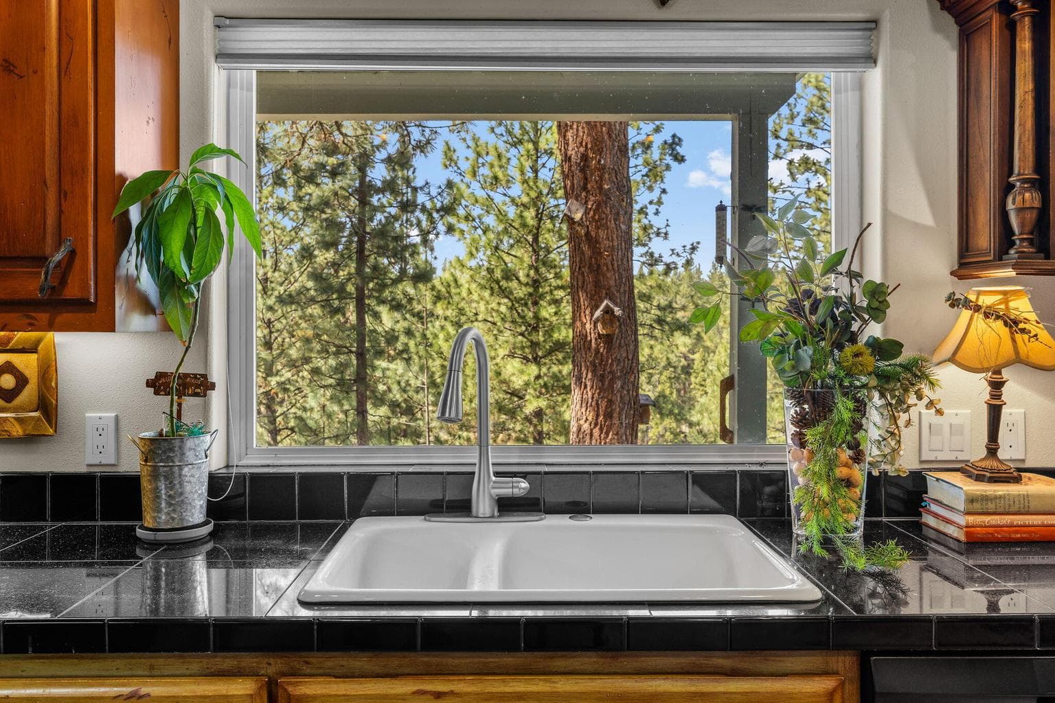 Kitchen Sink Window