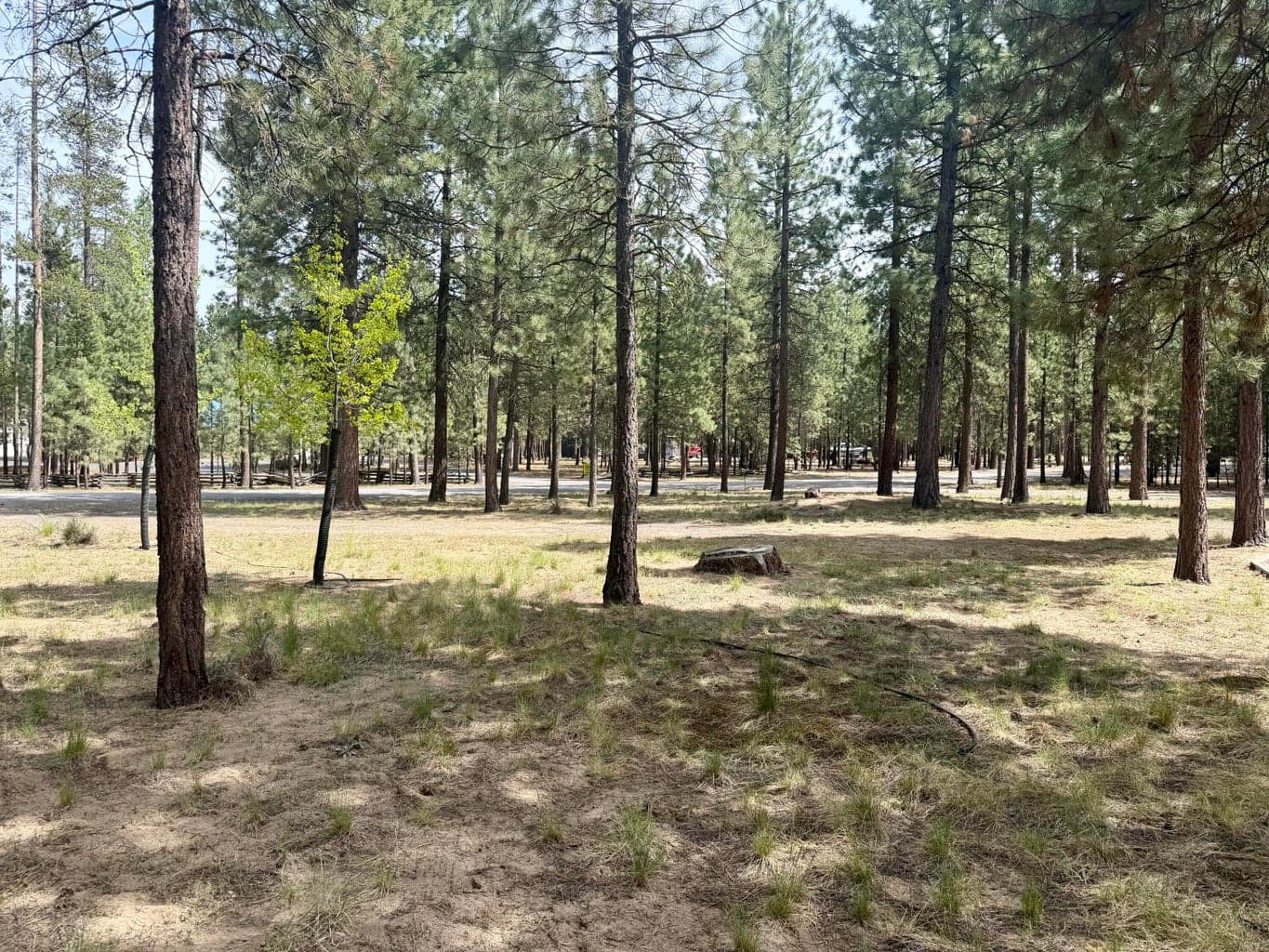 Photo of 52141 Foxtail Road 28 of 30