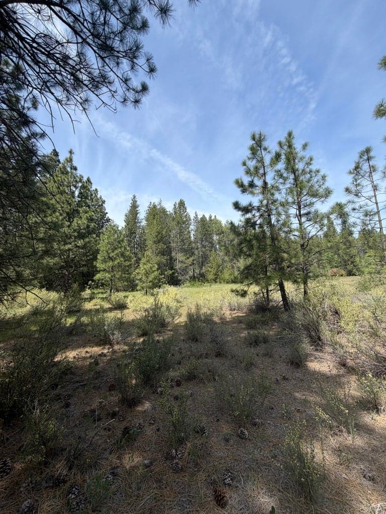 Lot 199-201