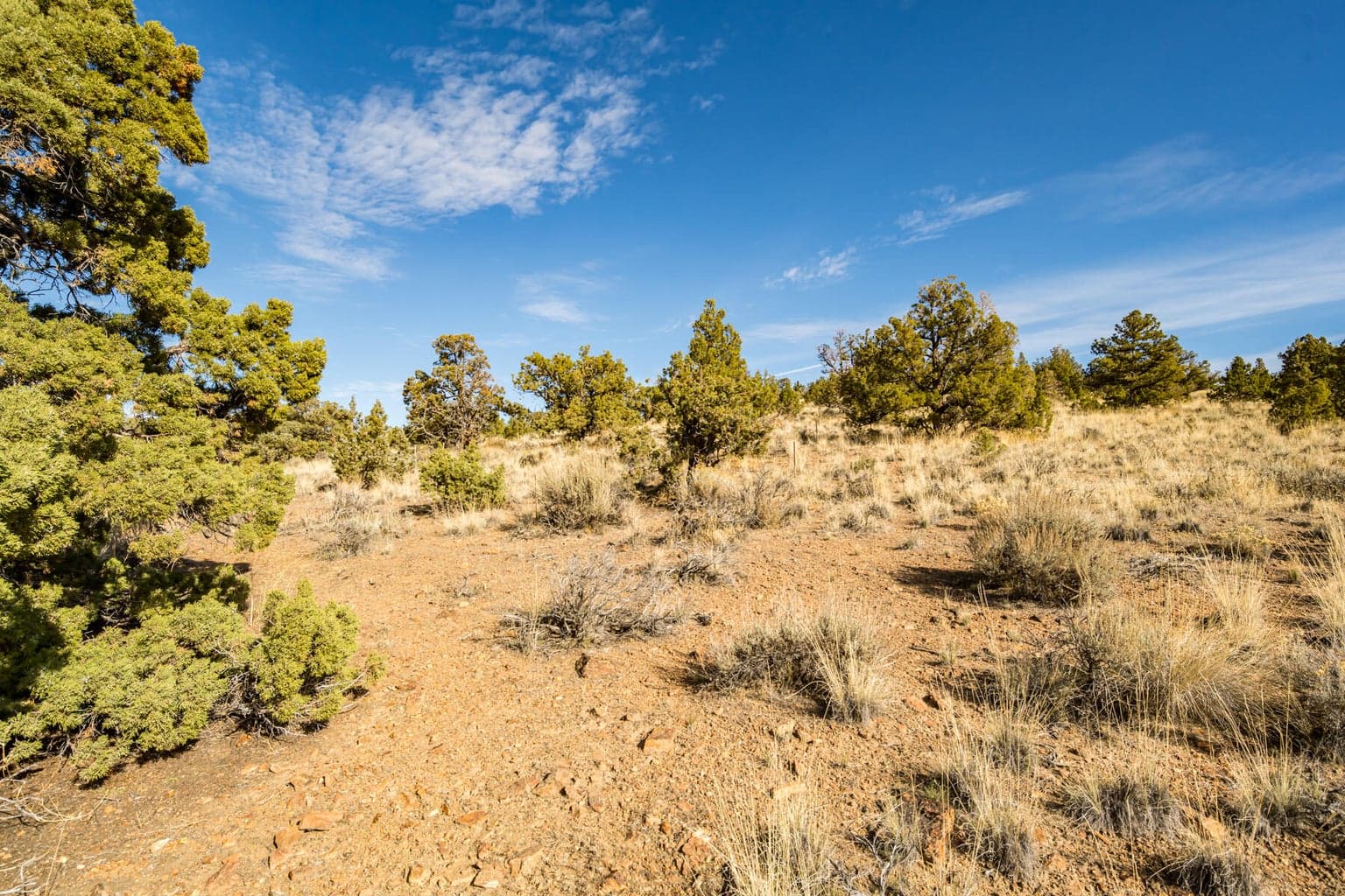 Photo of 15000 SW Hat Rock Loop 9 of 17