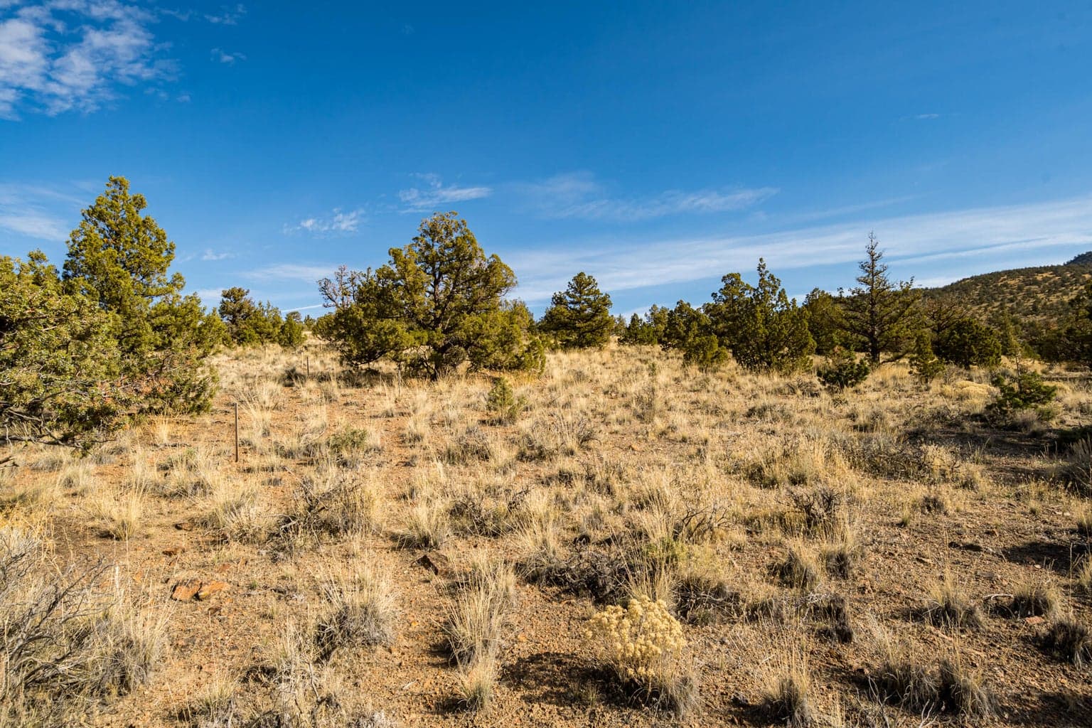 Photo of 15000 SW Hat Rock Loop 10 of 17