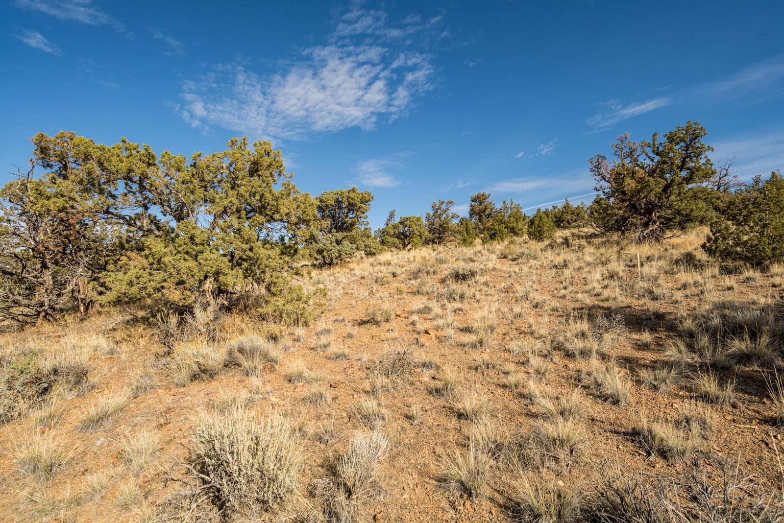 Photo of 15000 SW Hat Rock Loop 13 of 17