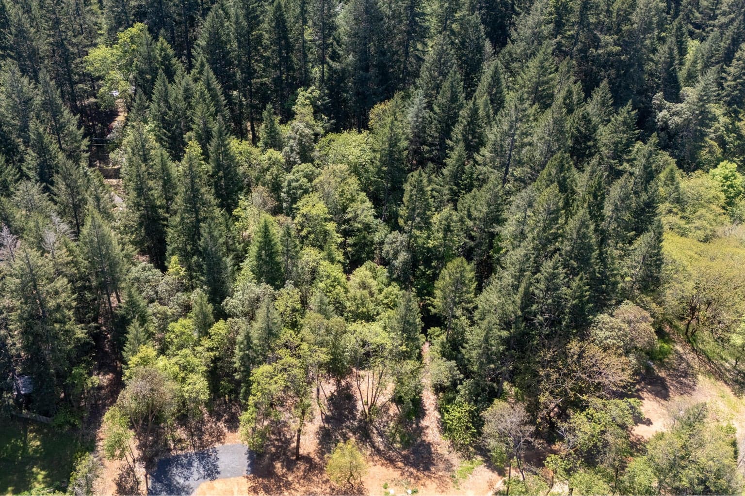 Photo of 847 Caves Highway 3 of 28