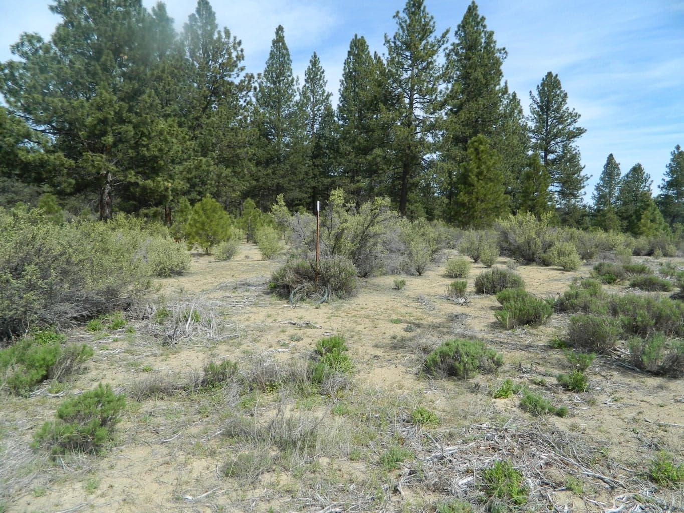 Photo of 227 Highway 422 2 of 8