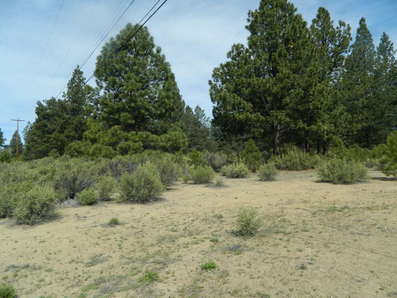 Photo of 227 Highway 422 3 of 8