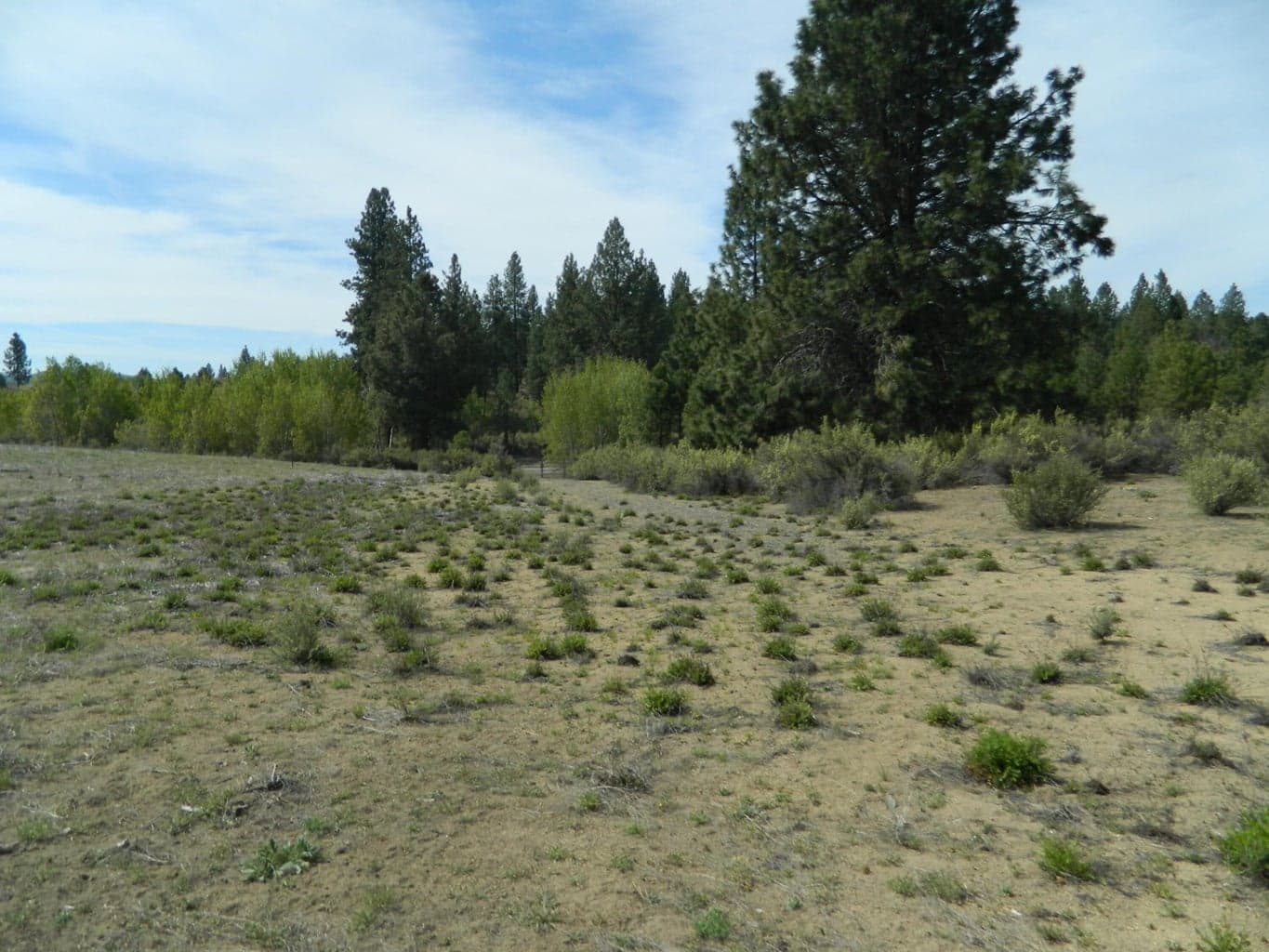 Photo of 227 Highway 422 4 of 8