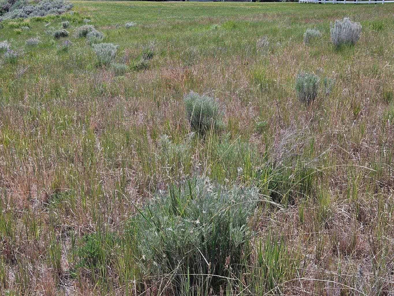 Photo of 0 Ranchwood 2 of 8