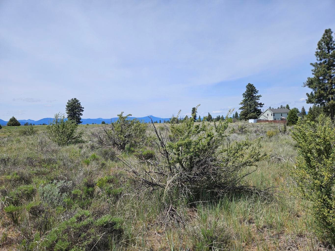 Photo of 0 Pleasant View 3 of 6