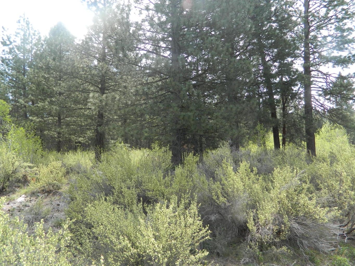 Photo of 200 Highway 422 2 of 8