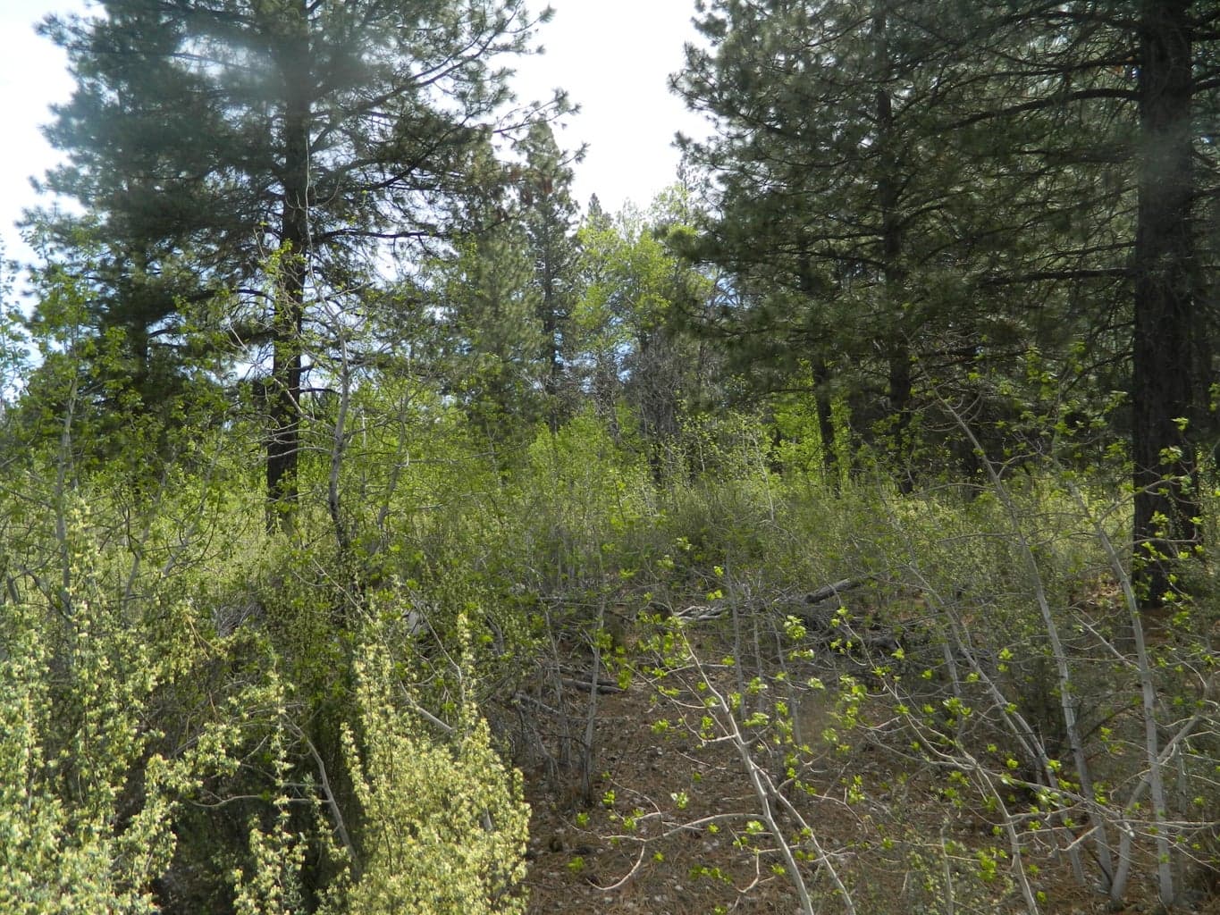 Photo of 200 Highway 422 3 of 8