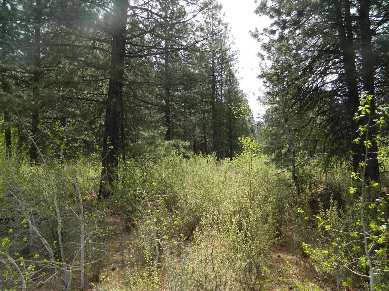 Photo of 200 Highway 422 4 of 8