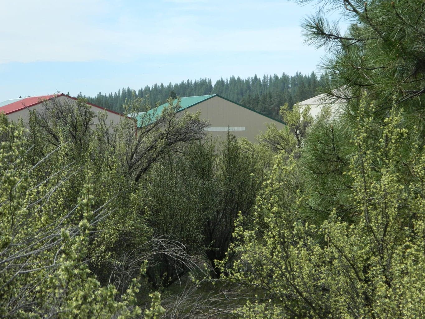 Photo of 200 Highway 422 5 of 8